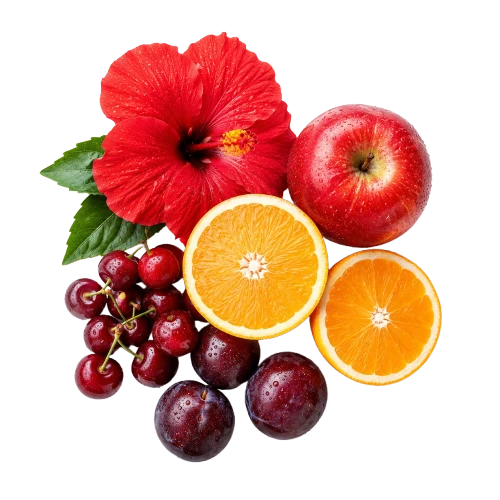 الكركديه وتشكيلة من الفواكه